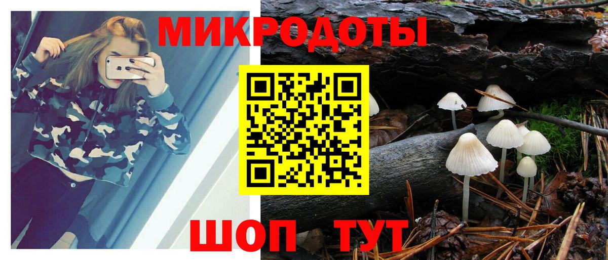 Шали  Галлюциногенные грибы Cubensis  Вход с VPN 